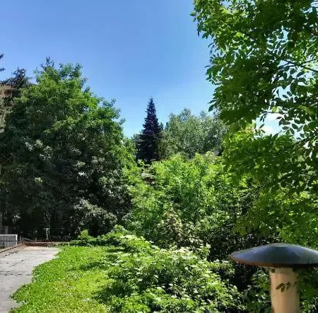 Comfy With Working Space In Location * Ivisovo Greblje